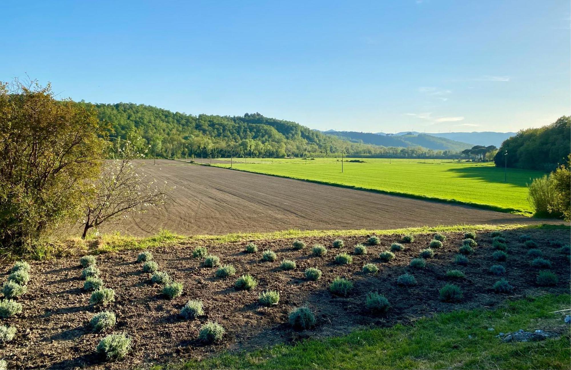 Casa Vacanze Podere San Giusto ヴォルテッラ エクステリア 写真