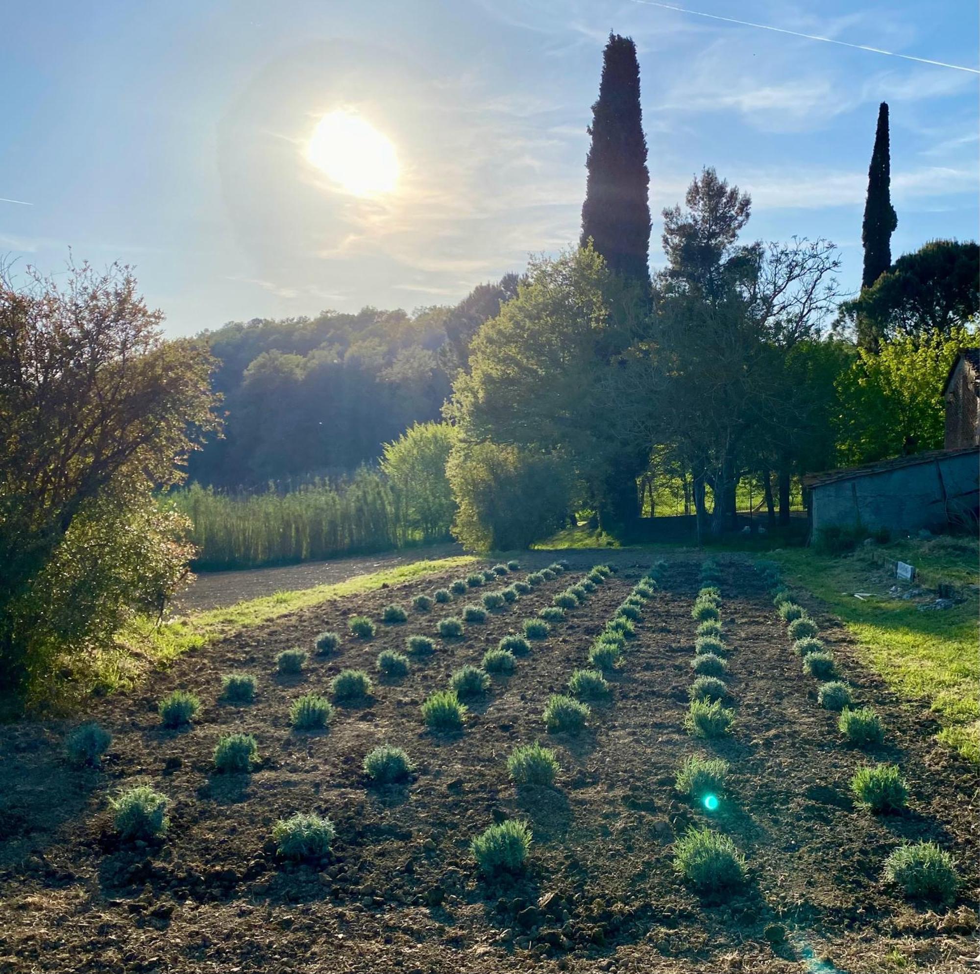 Casa Vacanze Podere San Giusto ヴォルテッラ エクステリア 写真