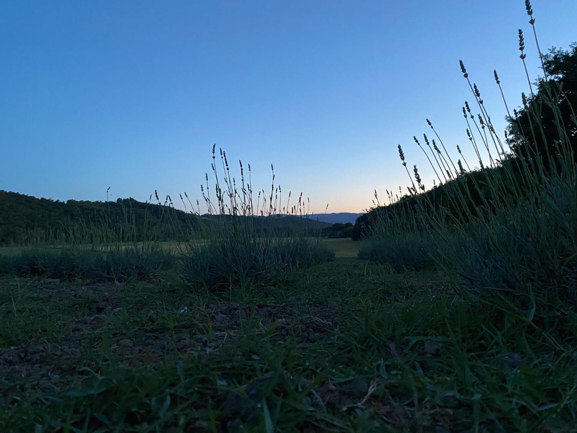 Casa Vacanze Podere San Giusto ヴォルテッラ エクステリア 写真