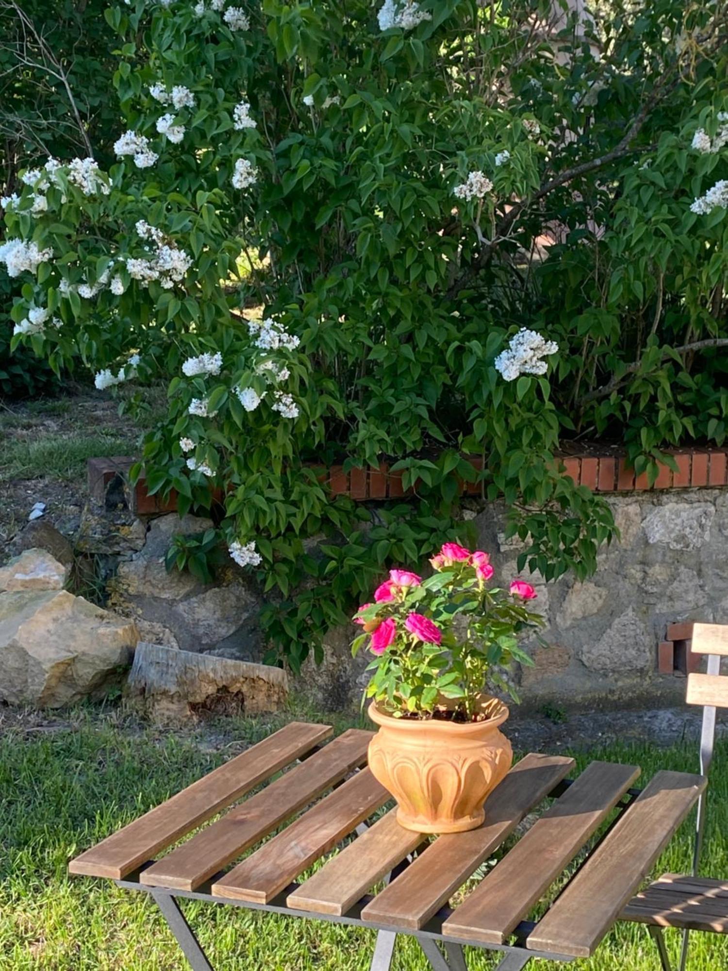 Casa Vacanze Podere San Giusto ヴォルテッラ エクステリア 写真
