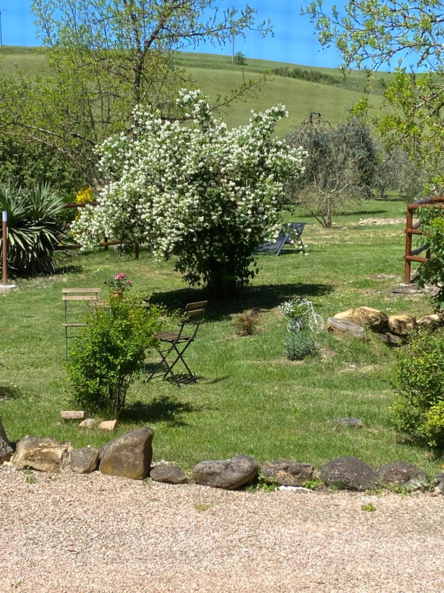 Casa Vacanze Podere San Giusto ヴォルテッラ エクステリア 写真
